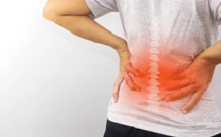 Generic Lyrica 75mg: A High-Demand Product in Nerve Pain Management