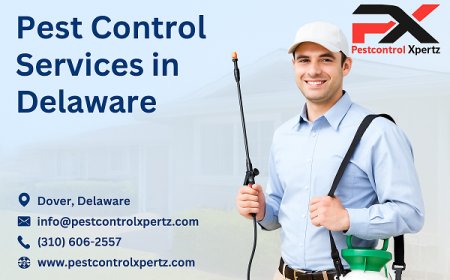 Emergency Pest Control in Glasgow: Fast Help When You Need It
