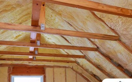 Top 5 Mistakes to Avoid During Attic Insulation Removal