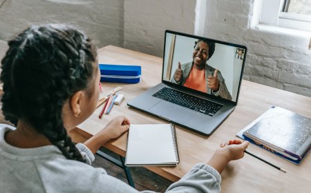 Professional Python Assignment Help: Your Path to Academic Success