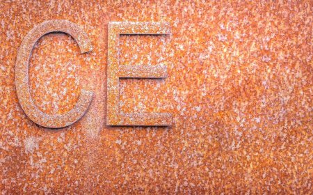 CE Marking Training: Who’s Doing What—and Why It Matters More Than You Think