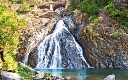 A Perfect 2-Day Trip to Havelock Island: Places to Visit & Things to Do