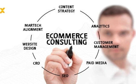 Why I Chose Webcraftio as My eCommerce Consultant