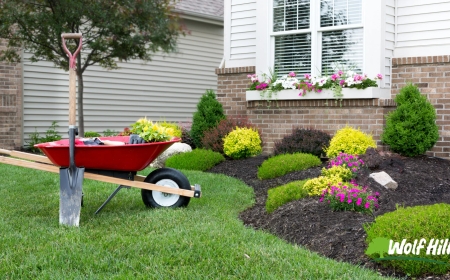 Bring Your Yard to Life with Professional Landscaping in Manassas, VA