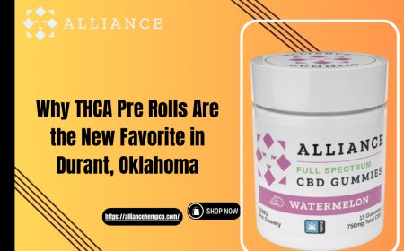 The Rise of Full Spectrum CBD Gummies: Natural Wellness by Alliance Hemp Co