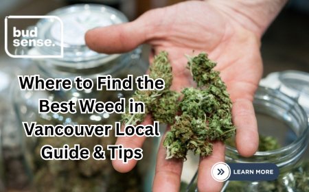 Where to Find the Best Weed in Vancouver Local Guide & Tips