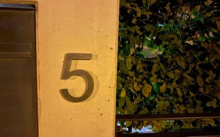 How Do Backlit House Numbers Enhance Your Curb Appeal?
