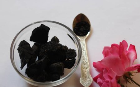 Top Reasons to Add Pure Shilajit to Your Daily Routine