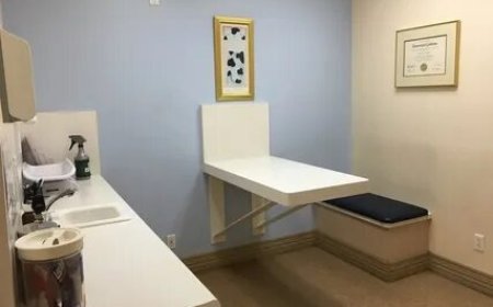 Fold Down Veterinary Exam Table: Features to Know