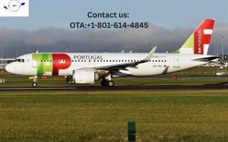 How do I talk to a human at TAP Air Portugal?