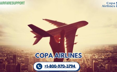 How do I contact to a real person on Copa?