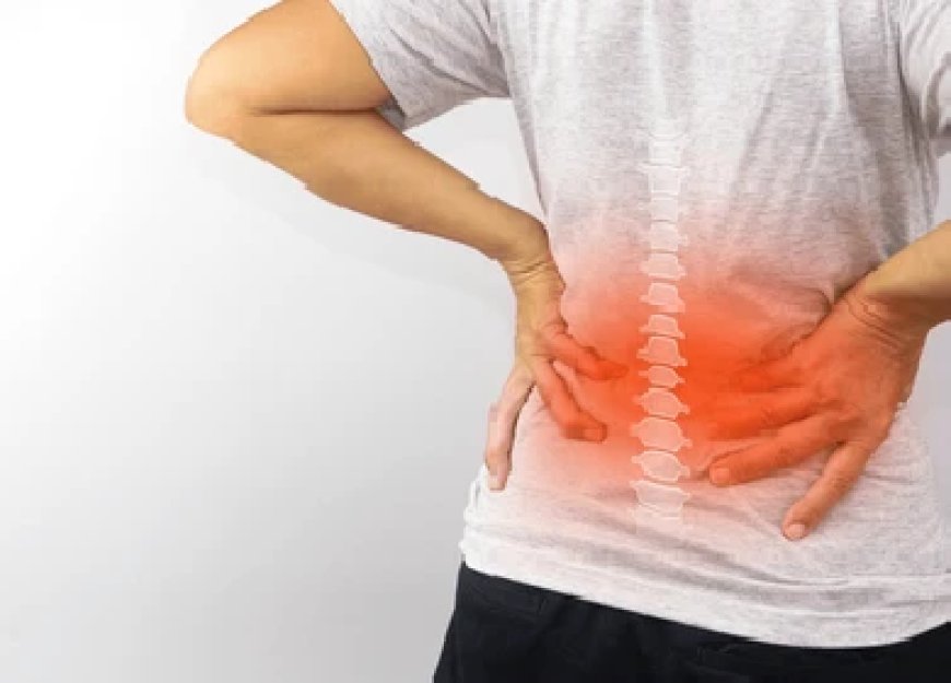 Generic Lyrica 75mg: A High-Demand Product in Nerve Pain Management