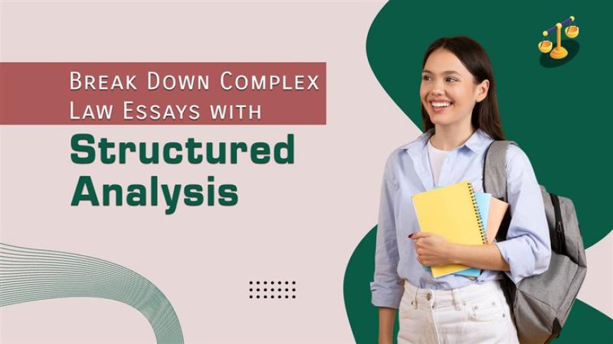 How to Structure a Law Essay Like a Legal Pro