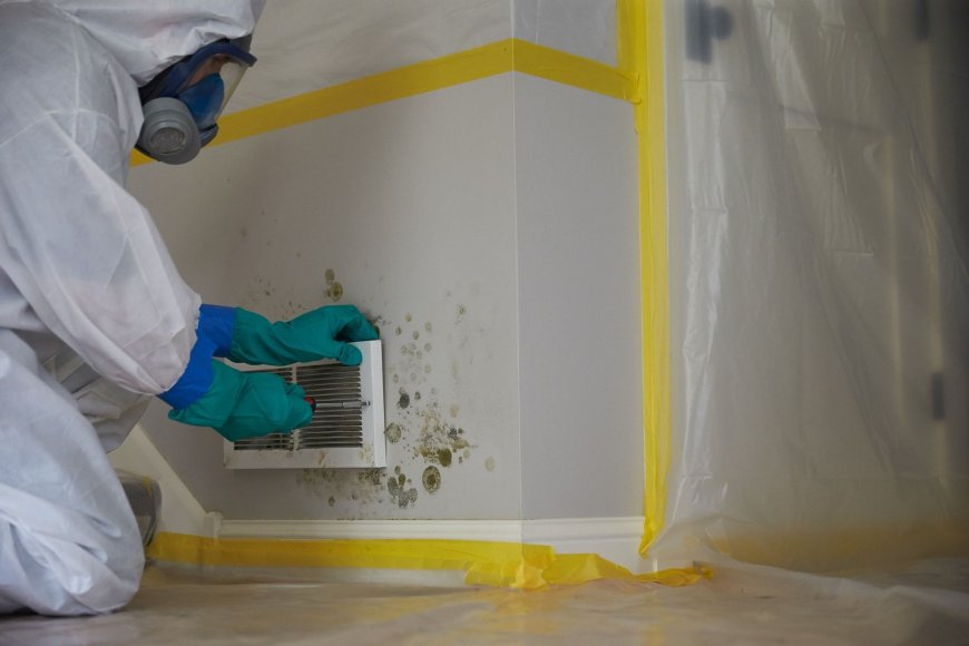 Complete Guide to Mold Restoration and Moisture Detection Services in Oxnard