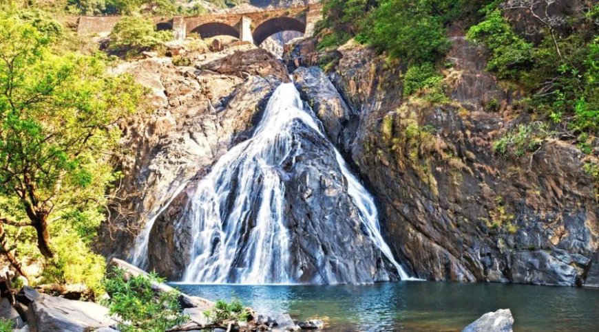 A Perfect 2-Day Trip to Havelock Island: Places to Visit & Things to Do