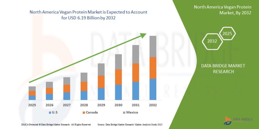 North America Vegan Protein Market Leaders: Growth, Share, Value, Analysis, and Trends