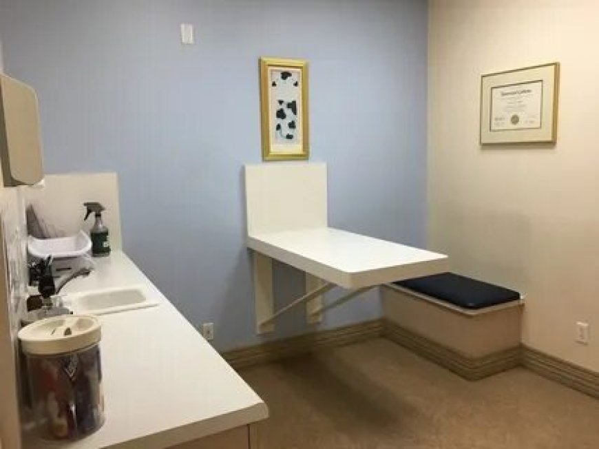 Fold Down Veterinary Exam Table: Features to Know