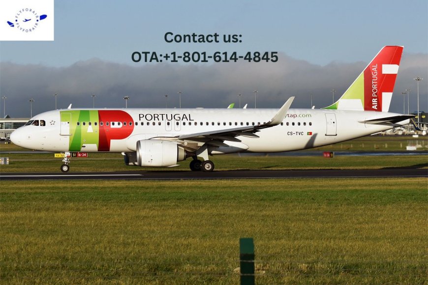 How do I talk to a human at TAP Air Portugal?