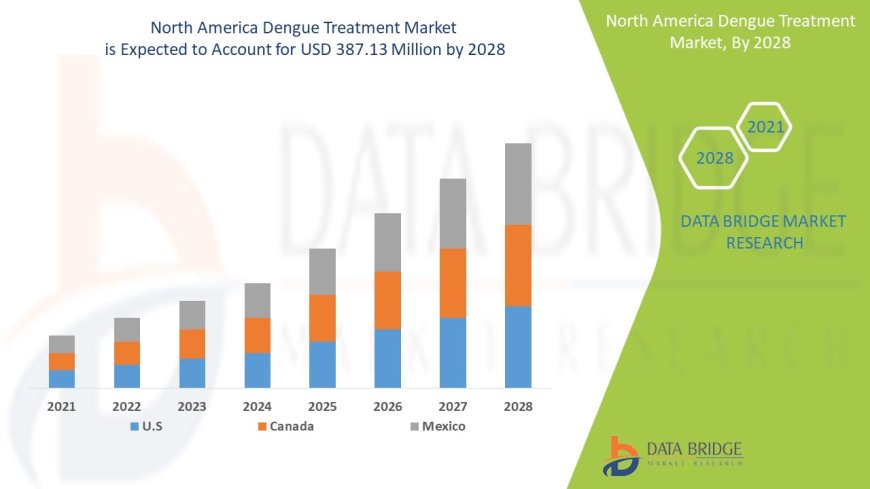 America Dengue Treatment Market Insights: Growth, Share, Value, Size, and Analysis