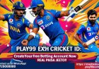 Play99 Login & Registration Guide for Indian Users [2025 Update]