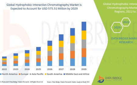 Hydrophobic Interaction Chromatography Market Revenue Analysis: Growth, Share, Value, Size, and Insights