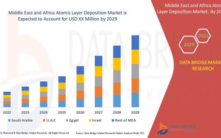 Middle East and Africa Atomic Layer Deposition Market Leaders: Growth, Share, Value, Size, and Scope