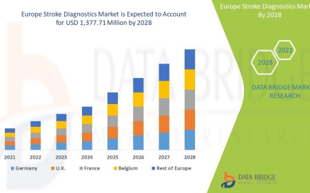Europe Stroke Diagnostics Market Industry Statistics: Growth, Share, Value, and Scope