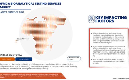 Africa Bioanalytical Testing Services Market Revenue Forecast: Growth, Share, Value, Size, and Insights