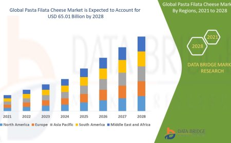 Pasta Filata Cheese Market Growth: Share, Value, Size, Trends, and Insights