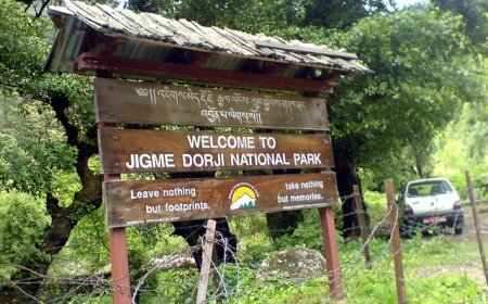 Bhutan’s Wild Side: Exploring the Top National Parks and Nature Reserves