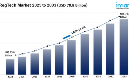 RegTech Market Size, Share, Growth & Forecast 2025-2033