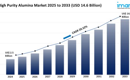 High Purity Alumina Market Analysis, Key Players, Growth & Forecast 2025-2033