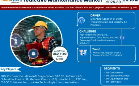 Global Predictive Maintenance Market Value and Growth Projections for 2025 - 2030