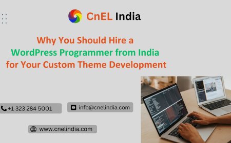 Why You Should Hire a WordPress Programmer from India for Your Custom Theme Development