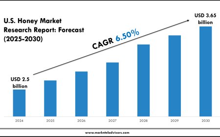 U.S. Honey Market Forecast by Segment and Geography