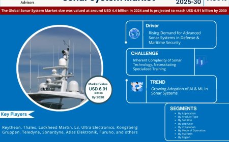 Global Sonar System Market Value and Growth Projections for 2025 - 2030