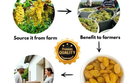 What Are Black Raisins? A Complete Beginner’s Guide