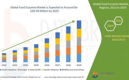 Food Enzymes Market Expands with Growth in Processed Foods and Functional Ingredient Applications