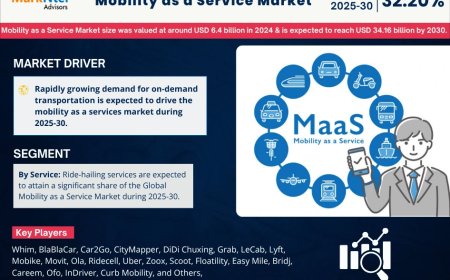 Global Mobility as a Service (MaaS) Market Value and Growth Projections for 2025 - 2030