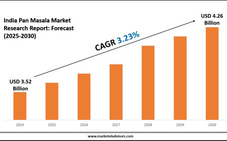 India Pan Masala Segment Analysis and Forecast 2025–2030
