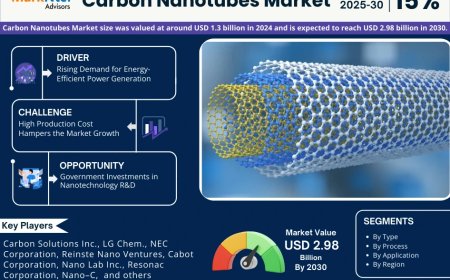 Global Carbon Nanotubes Components Market Value and Growth Projections for 2025 - 2030