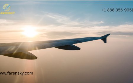 How Do I Contact to a Real Person on Singapore Airlines? - Your Shortcut to Support