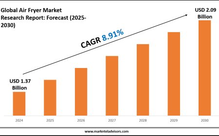 Strategic Insights on Air Fryer Market: Forecast, Size & Trends
