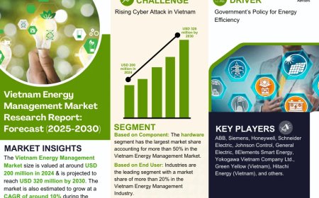 Vietnam Energy Management Market Overview:  Growth & Strategy