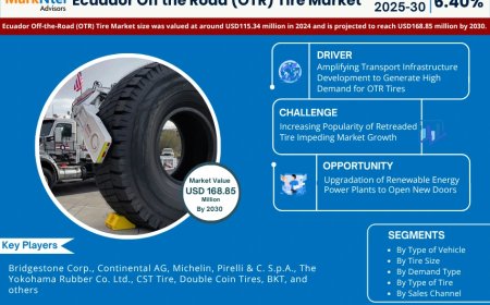 Ecuador Off the Road (OTR) Tire Market Size, Share, Trends, Growth Analysis, Report 2025-2030