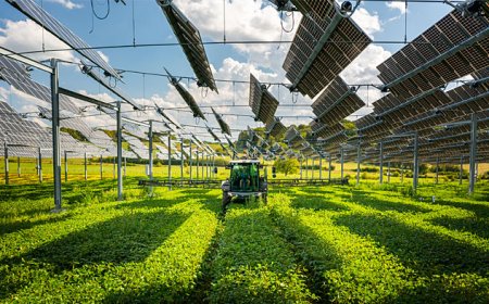 Global Agrivoltaics Market Value and Growth Projections for 2025 - 2030