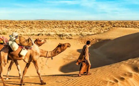 Rajasthan Group Tour Package from Hyderabad | Tripspray