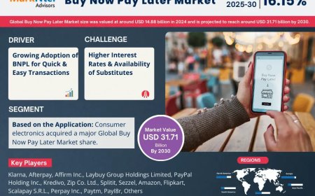 Global Buy Now Pay Later Market Size, Share, Trends, Growth Analysis, Report 2025-2030