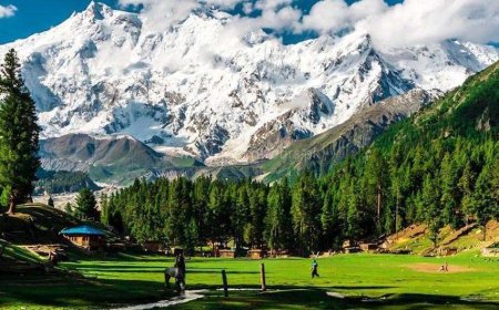 Discover Naran, Kaghan & Swat with Islamabad’s Top Travel Agency