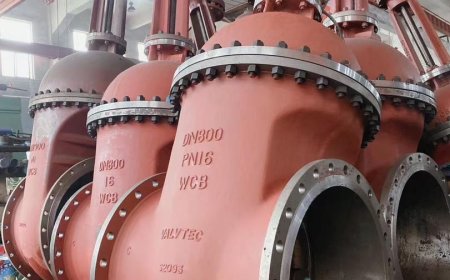 Gate valve supplier in Dubai